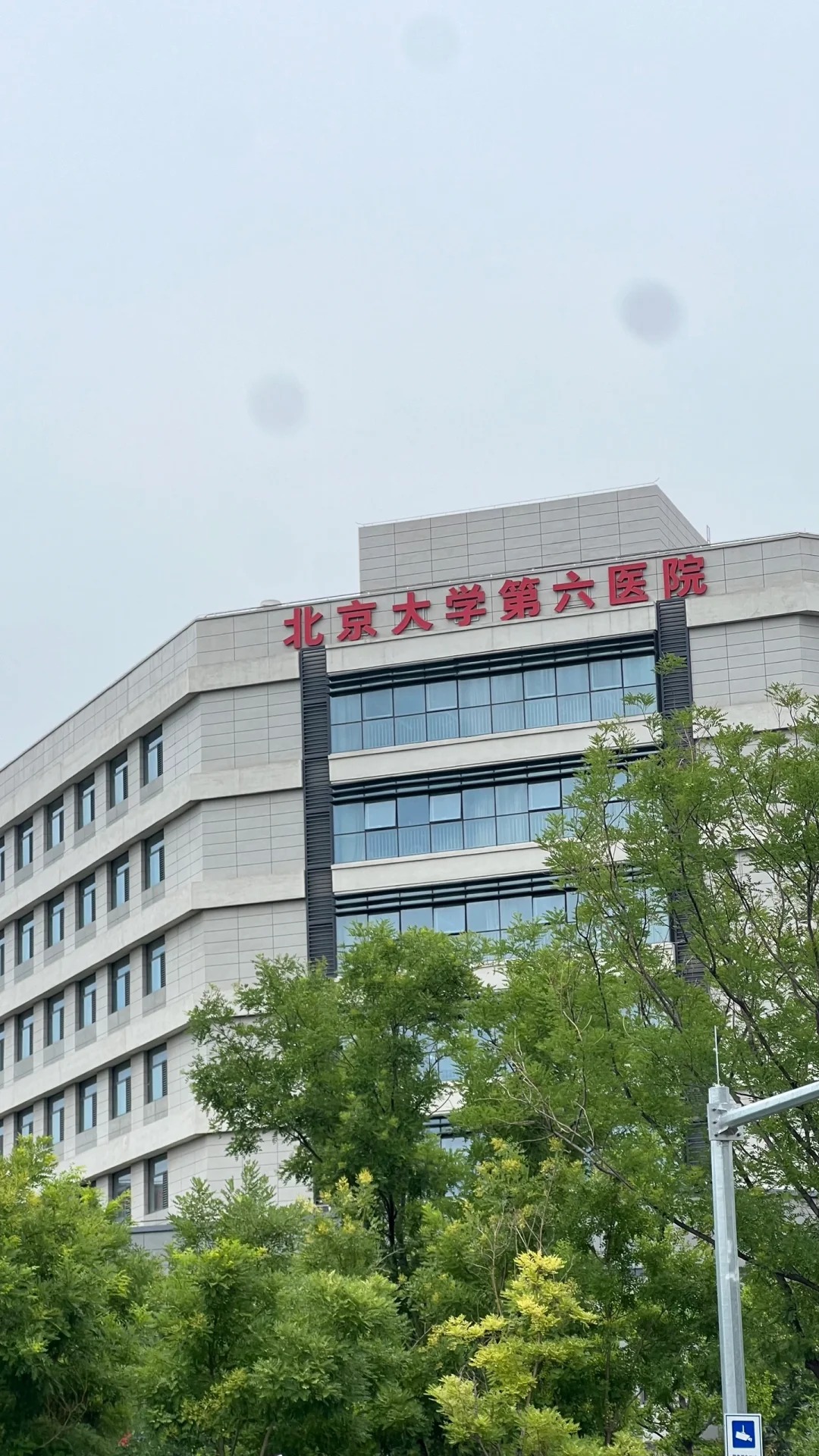 Peking University Sixth Hospital